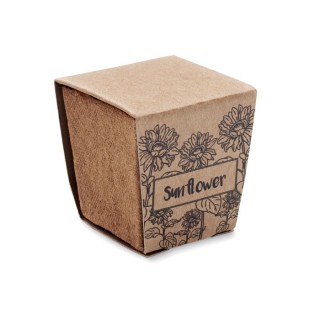 SUNFLOWER KIT - Papier