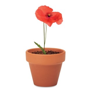 RED POPPY - Terre Cuite