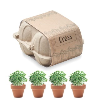 CRESS - Terre Cuite