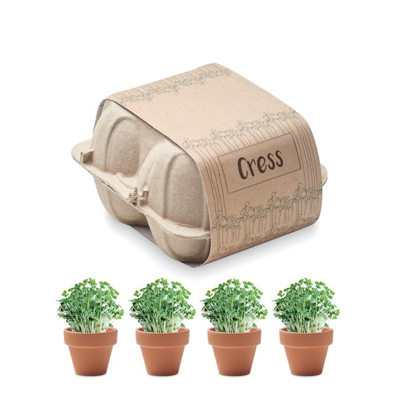 CRESS - Terre Cuite