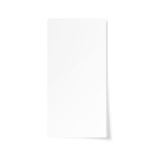 ETIQUETTES BRISTOL BLANC 55X28 mm NEUTRE EN SAC DE 100 - PAPIER