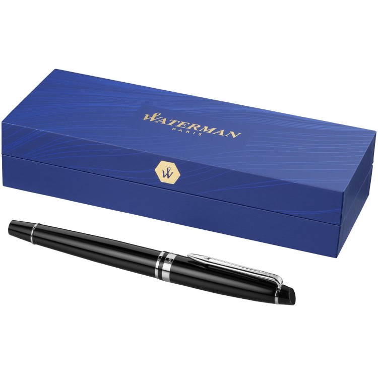🇫🇷 Waterman Stylo plume Expert (encre bleue)