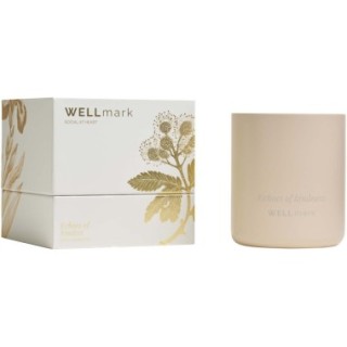WELLmark Bougie parfumée Wellmark
