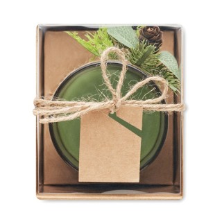 FOREST - Verre Sodocalcique