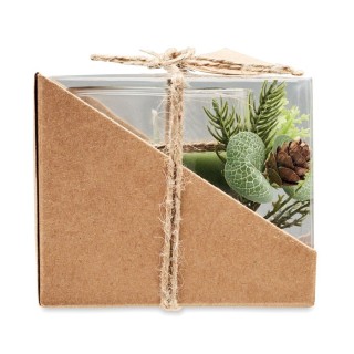 FOREST - Verre Sodocalcique