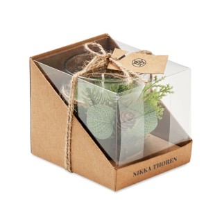 FOREST - Verre Sodocalcique