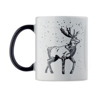 FESTIMUG
