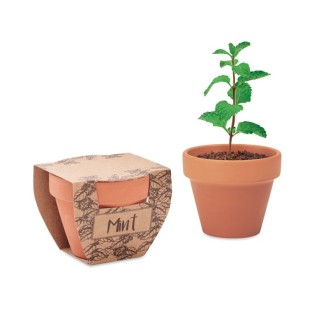 MINT POT - Terre Cuite