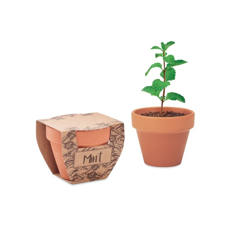 MINT POT - Terre Cuite