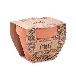 MINT POT - Terre Cuite