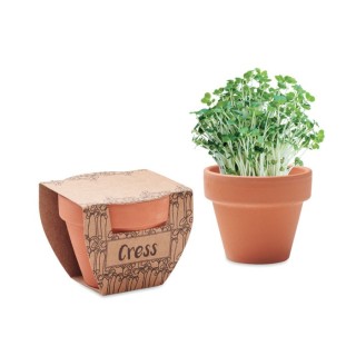 CRESS POT - Terre Cuite