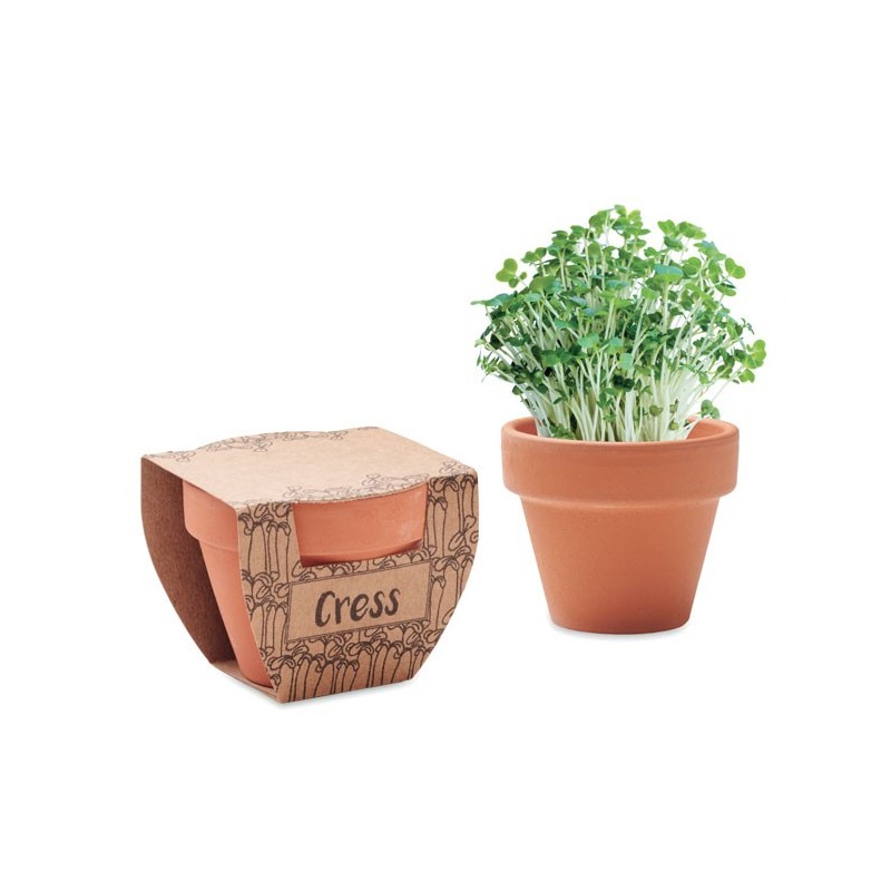 CRESS POT - Terre Cuite
