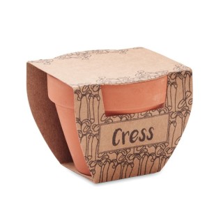 CRESS POT - Terre Cuite